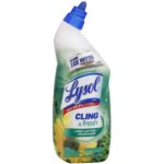 Lysol Toilet Bowl Cleaner Forest Rain Scent 24oz