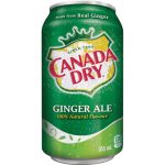 Canada Dry Ginger Ale 12oz