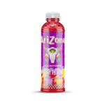 Arizona Fruit Punch Tall Boy 20oz