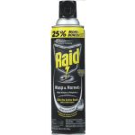 Raid Wasp & Hornet 17.5oz