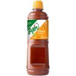 Tajin Chamoy Mild Sauce 15.38oz