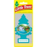Little Tree Air Freshener Rainforest Mist
