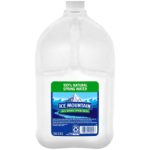 Ice Mountain Spring Water 1 GAL