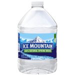 Ice Mountain Water 3L