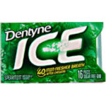 Dentyne Ice Spearmint Gum 16Pieces