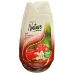 Essence of Nature Solid Air Freshener Apple Cinnamon & Vanilla 7.8oz