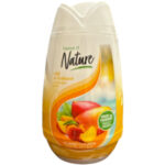 Essence of Nature Solid Air Freshener Island Colada 7.8oz