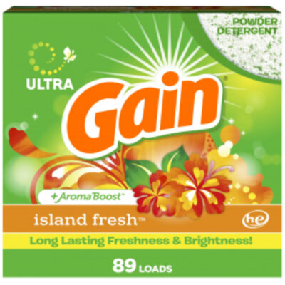 Gain Island Fresh Powder Detergent 91oz - Image 1