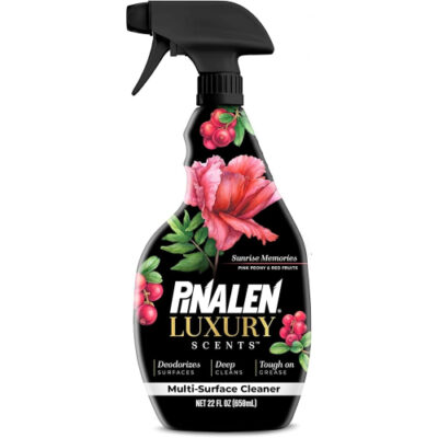 Pinalen Multisurface Cleaner Sunrise Memories 22oz CLONE - Image 1