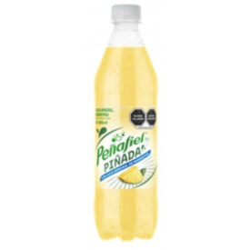 Penafiel Pinada con Agua Mineral 20.3oz