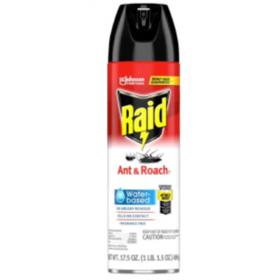 Raid Ant & Roach Water-Based 17.5oz - Image 1