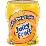 Wrigley's Mini Gum in Juicy Fruit Original 40pc