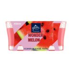 Glade Scented Candles Wonder Watermelon 2ct 4.08oz