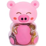 Twin Rabbit Jelly Fruit Piggy 28.2oz
