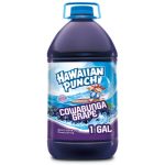 Hawaiian Punch Cowabunga Grape 1gal